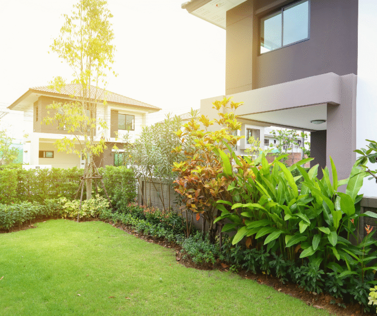 شركة لاندسكيب في العين