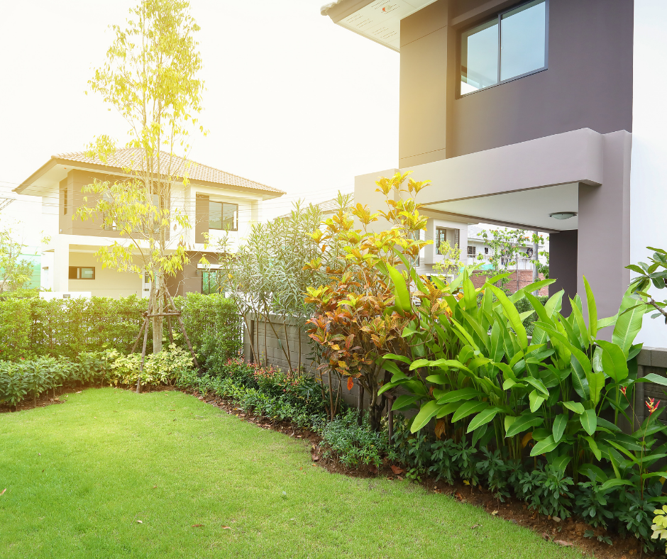 شركة لاندسكيب في العين