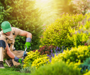 شركة لاندسكيب في دبي